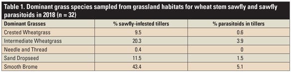 Table 1. Dominant grass species sampled from grassland habitats for wheat stem sawfly and sawfly parasitoids in 2018 (n = 32