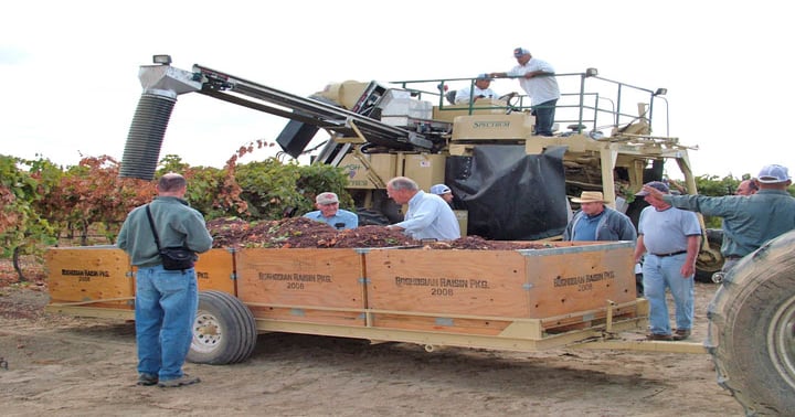 Record raisin price after costly decade | Farm Progress