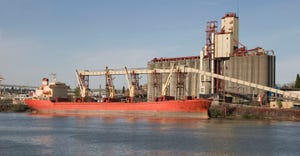 ship loading grain for export