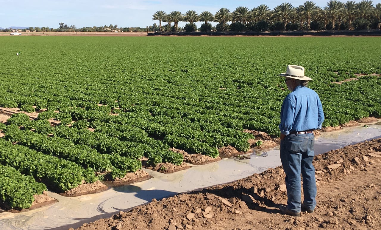 Yuma Irrigation Research Farm