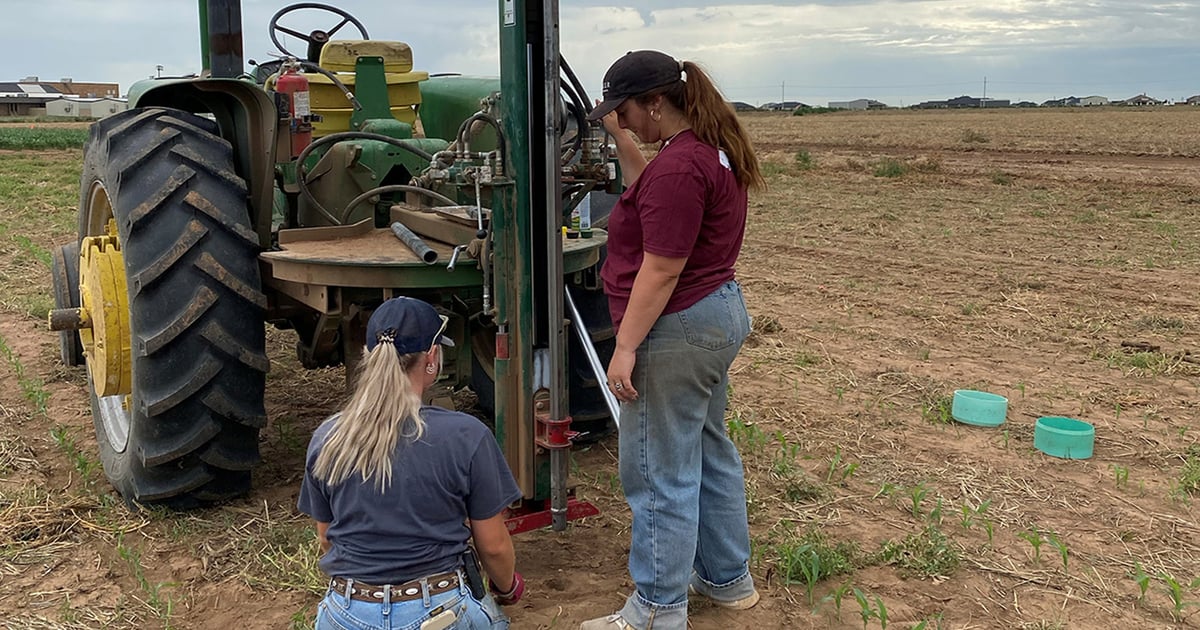 Deep soil testing can slash fertilizer costs