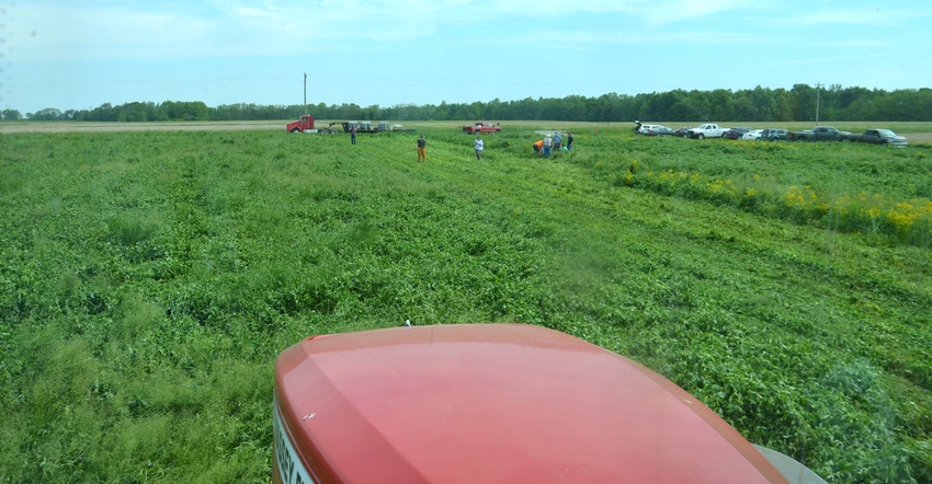 looking at a field of cover crops over the hood of a tractor