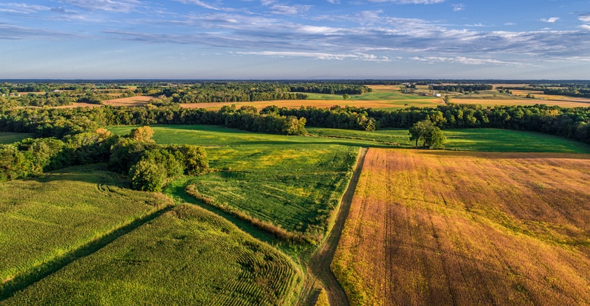 An aerial drone photo over the fields and dirt road lanes in the fields during the golden light of the morning