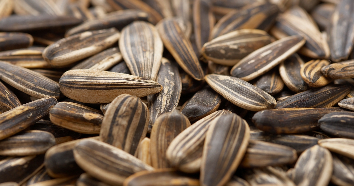 Sunflower prices move higher