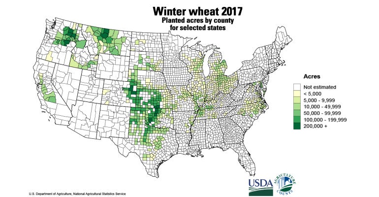 U.S. map of planted wheat acres