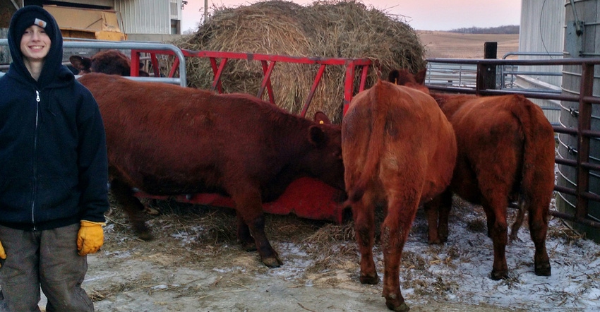Grant Lubben with red angus heilfers
