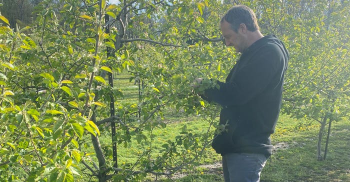 Bill Patterson inspects his apple trees