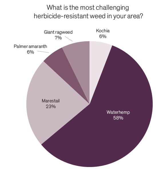 What is the most challenging herbicide-resistant weed in your area pie chart?