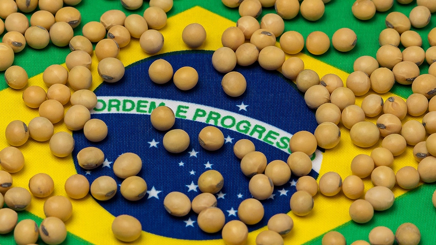 Brazil flag with soybeans