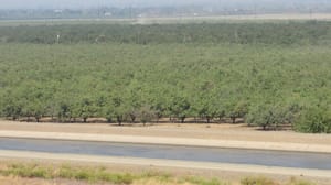Canal and farmland Canal and farmland