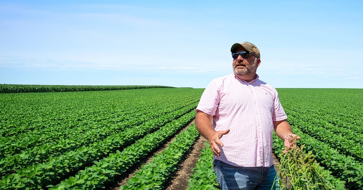 Drought, tar spot and screwworm: A farmer's triple-threat summer