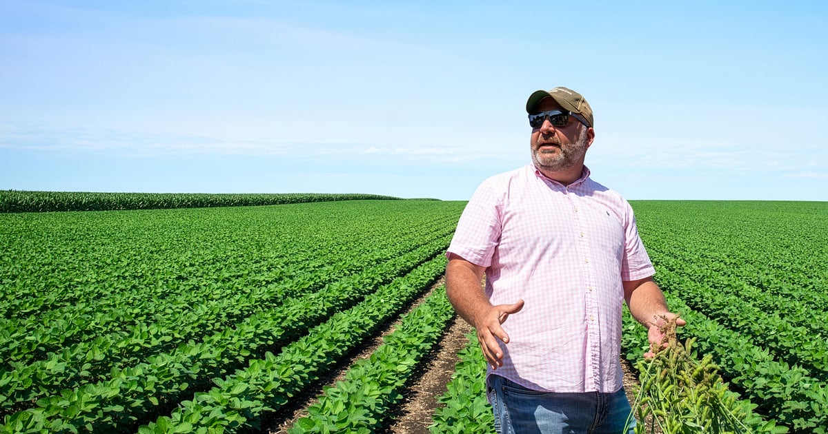 Drought, tar spot and screwworm: A farmer's triple-threat summer