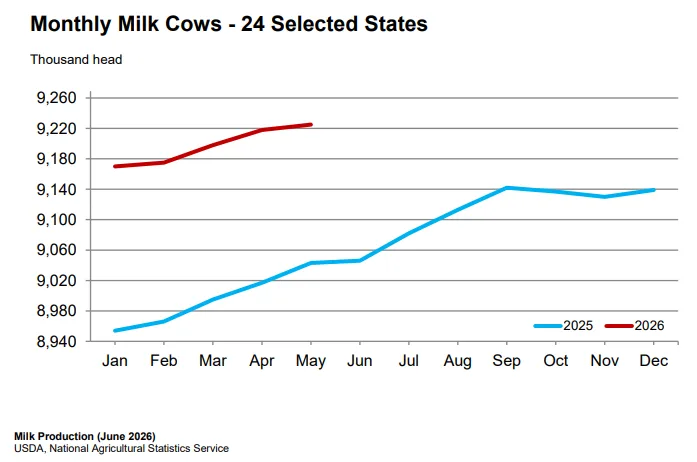 Monthly milk cow numbers 2025 vs 2026 Monthly milk cow numbers 2025 vs 2026