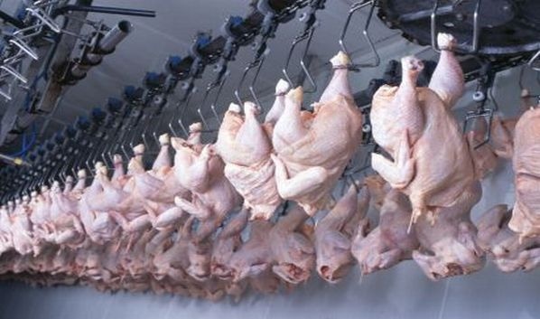 tyson chicken processing