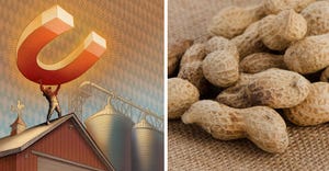 labor issues and a change in the peanut market