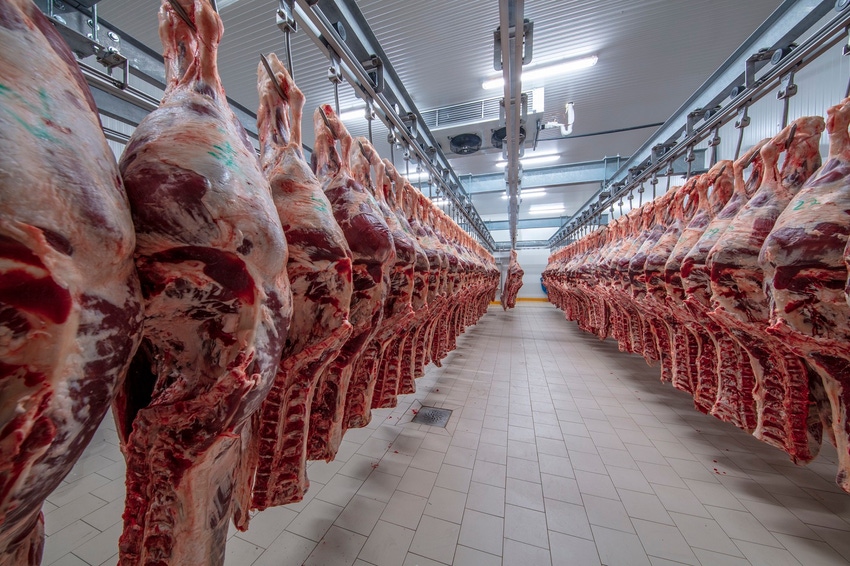 Beef carcasses in a cooler