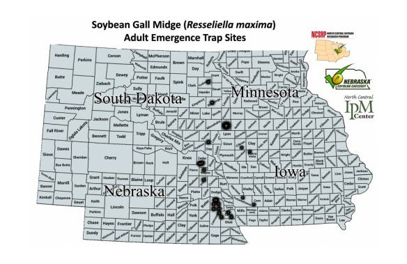 soybean gall midge adult emergence trap sites map