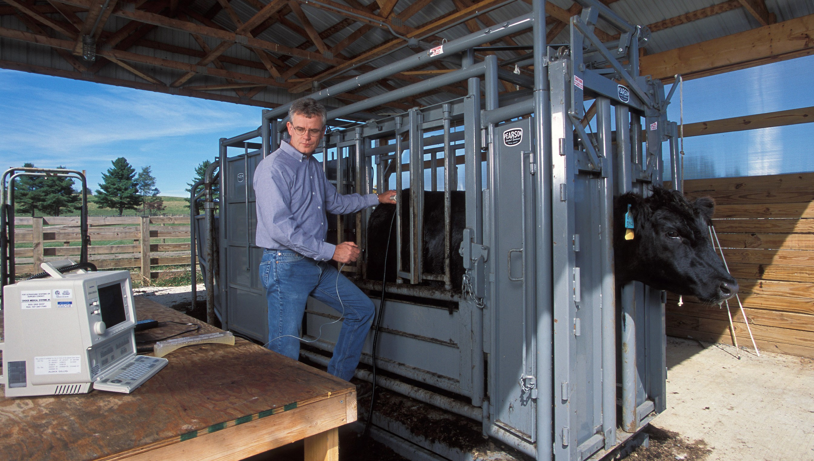 When is your livestock ready for market?