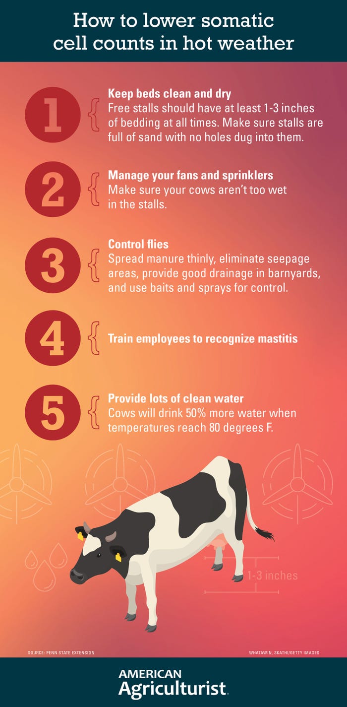 5 tips on how to lower somatic cell counts in hot weather