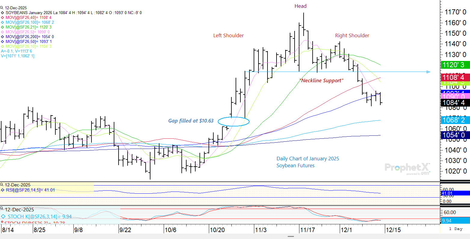 January daily soybean price chart