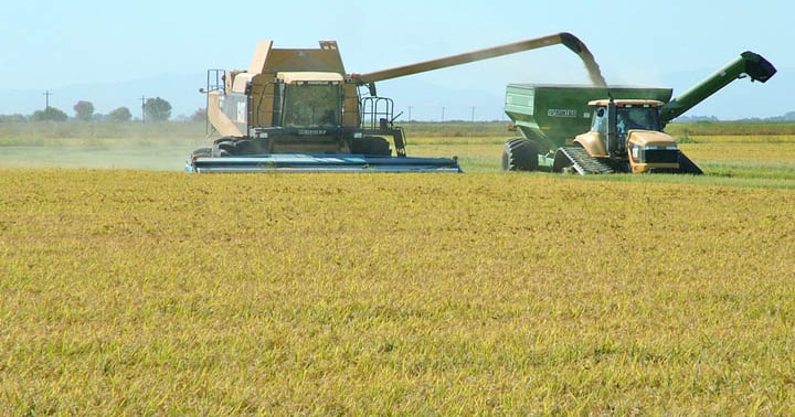California Rice Production Workshop slated for March 21 | Farm Progress