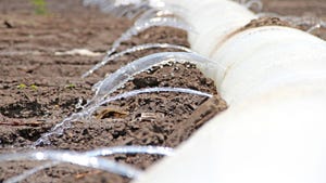 Close up of poly pipe irrigating field.