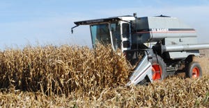 Combine in cornfield during the fall season
