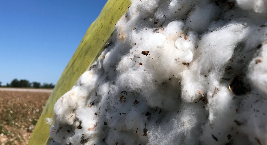brad-haire-farm-press-cotton-round-bale-Fla-a.jpeg brad-haire-farm-press-cotton-round-bale-Fla-a.jpeg