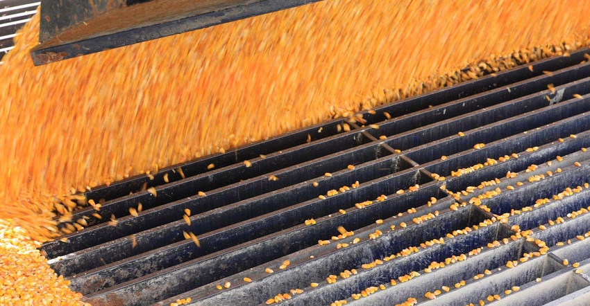 Corn flowing into grate. Corn flowing into grate.