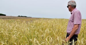 man standing in wheat field