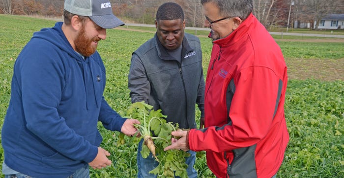 Keith Williams evaluates a cover crop of radishes with Caleb Richer and Chris Lee