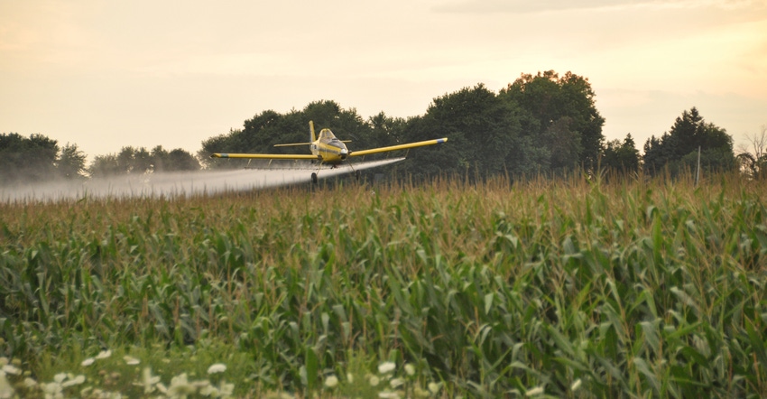 airplane applying fungicide to cornfield