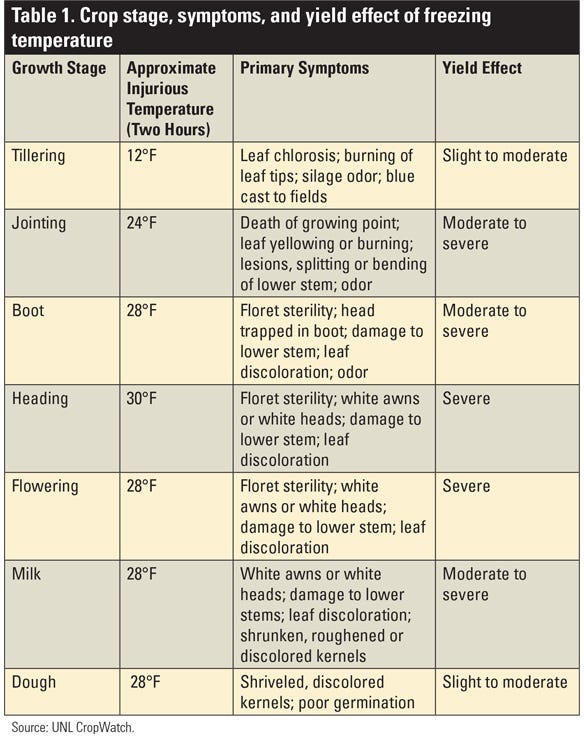 Table 1. Crop stage, symptoms, and yield effect of freezing temperature table