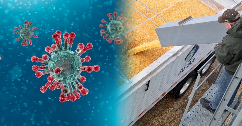 Covid19 virus collaged with man guiding auger into grain cart