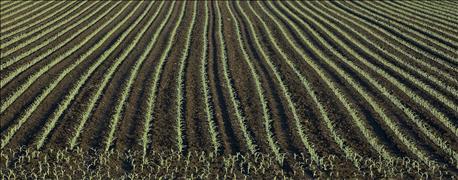 usda_iowa_crop_report_are_soils_ready_corn_planting_1_635960432420745578.jpg
