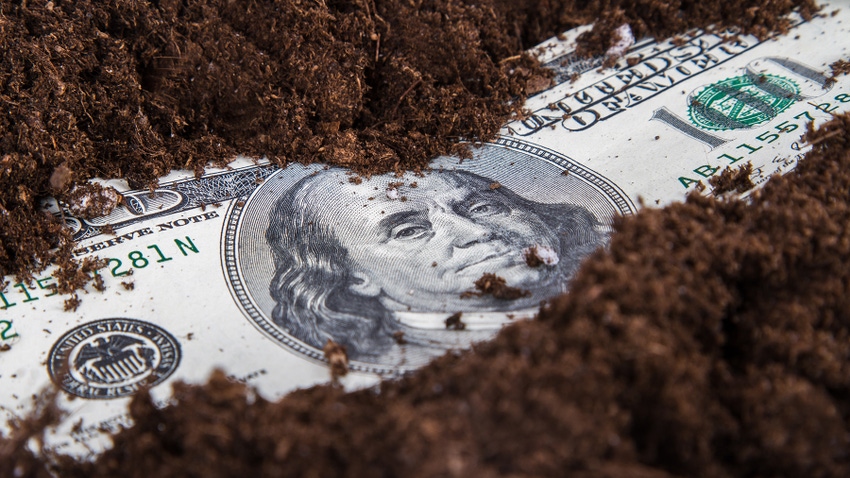 Hundred dollar bill in soil