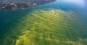 aerial shot of harmful algae blooms in Lake Erie