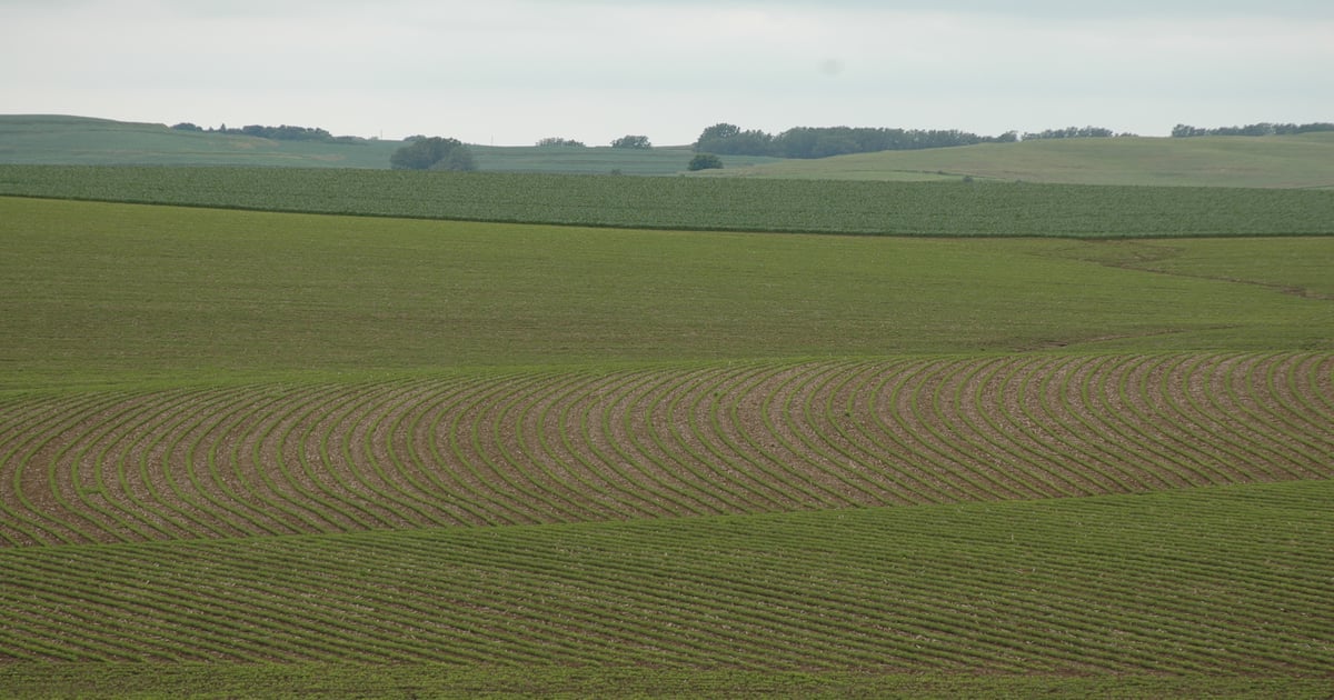 Capture LFR insecticide from FMC expands label for soybean growers ...