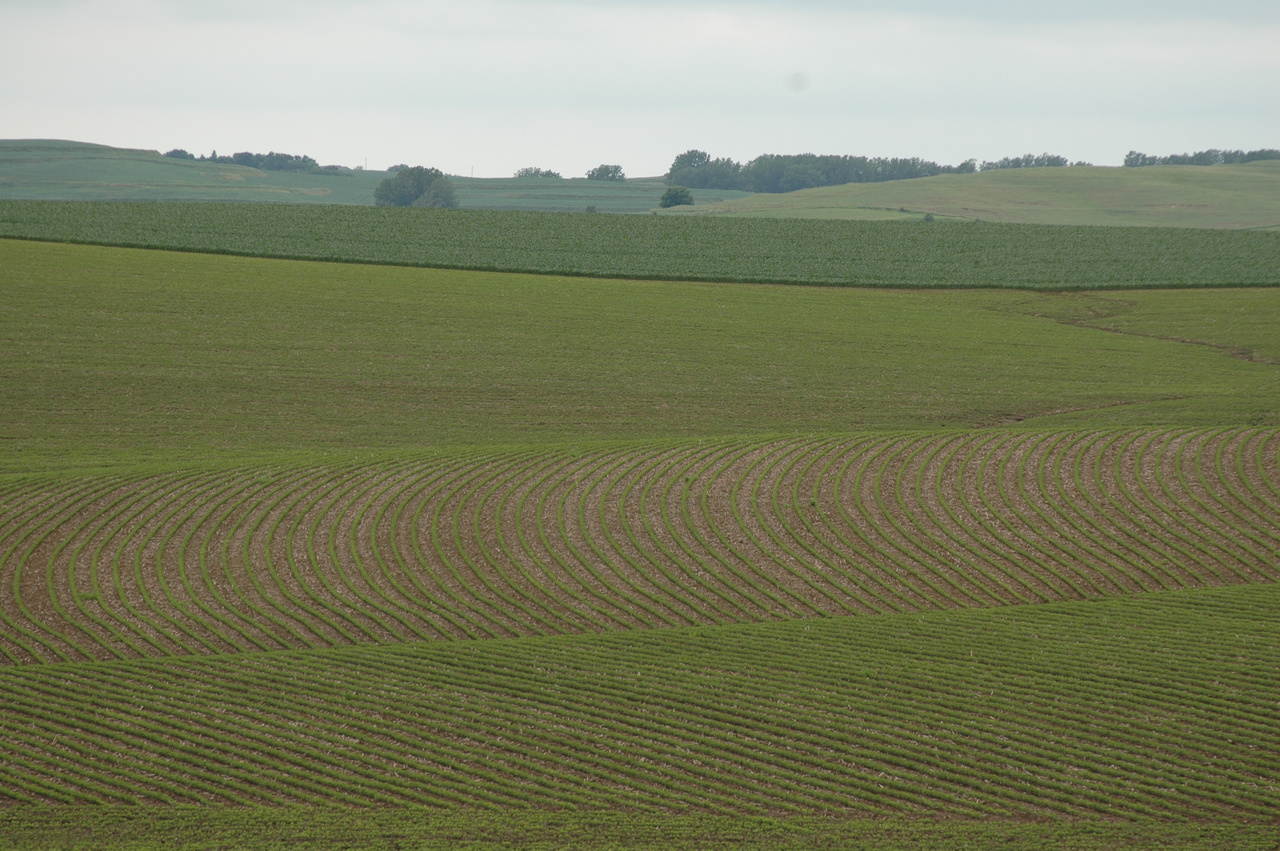 Capture LFR insecticide from FMC expands label for soybean growers ...