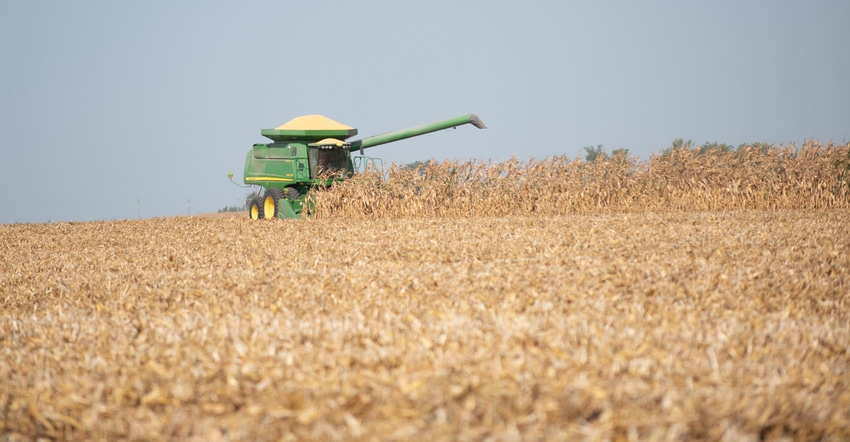 combine harvesting field of corn combine harvesting field of corn