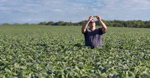 A farmer inspects a leaf in a field of high-oleic soybeans 