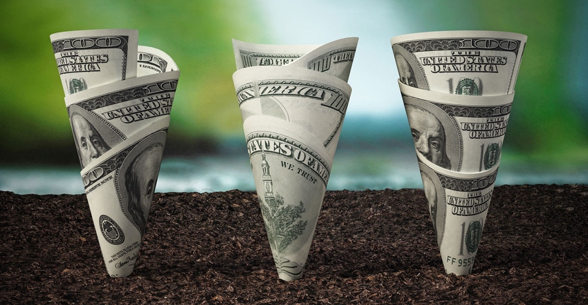 U.S. hundred dollar bills grow from the soil