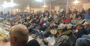 A group of people sitting in auditorium seating at a cattle auction
