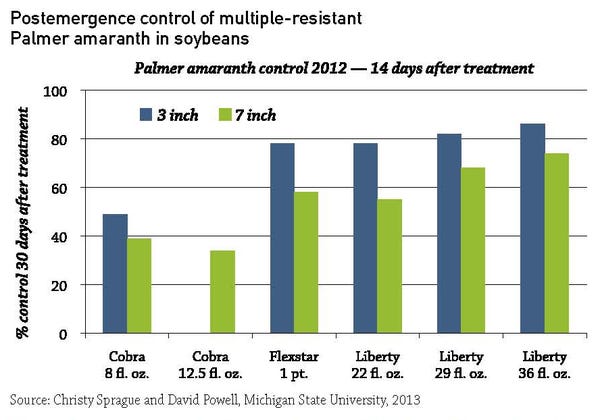postemergence herbicide application options to control Palmer amaranth