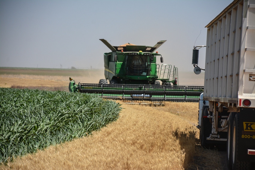 SWFP-HUGULEY-18-WHEAT-TRUCK.jpg SWFP-HUGULEY-18-WHEAT-TRUCK.jpg