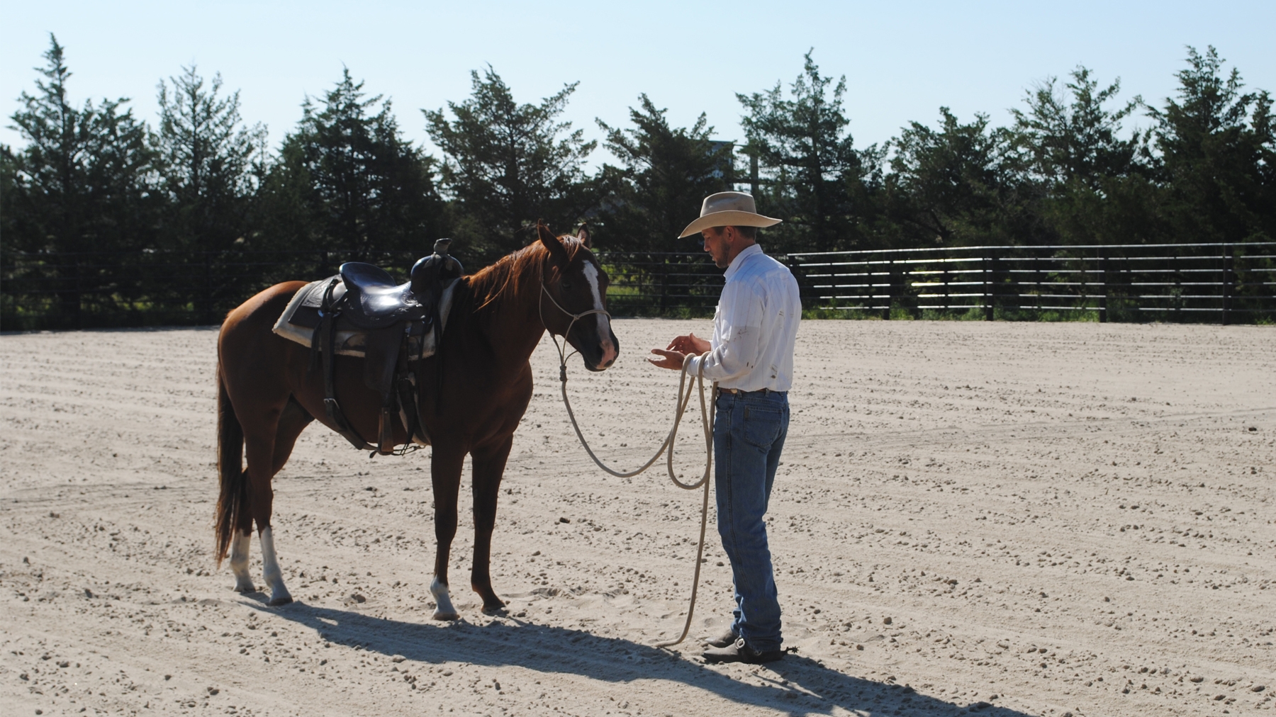 Preparing for winter: Focus on ranch horse health