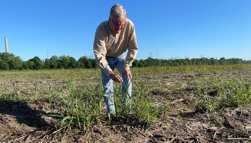 Man in fieldJPG.JPG Man in fieldJPG.JPG