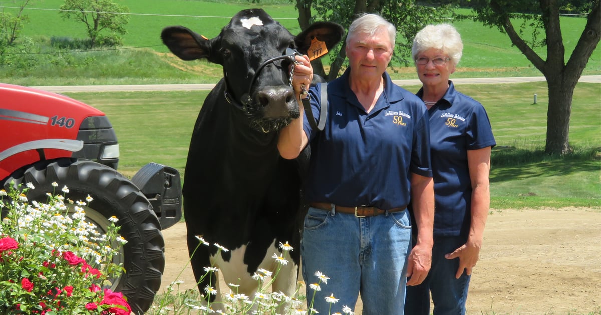 John and Joan Judd prove people wrong on small farm