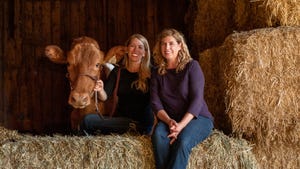 Jen Orchard holds the halter of a Guernsey cow while sitting next to her sister Julie Orchard