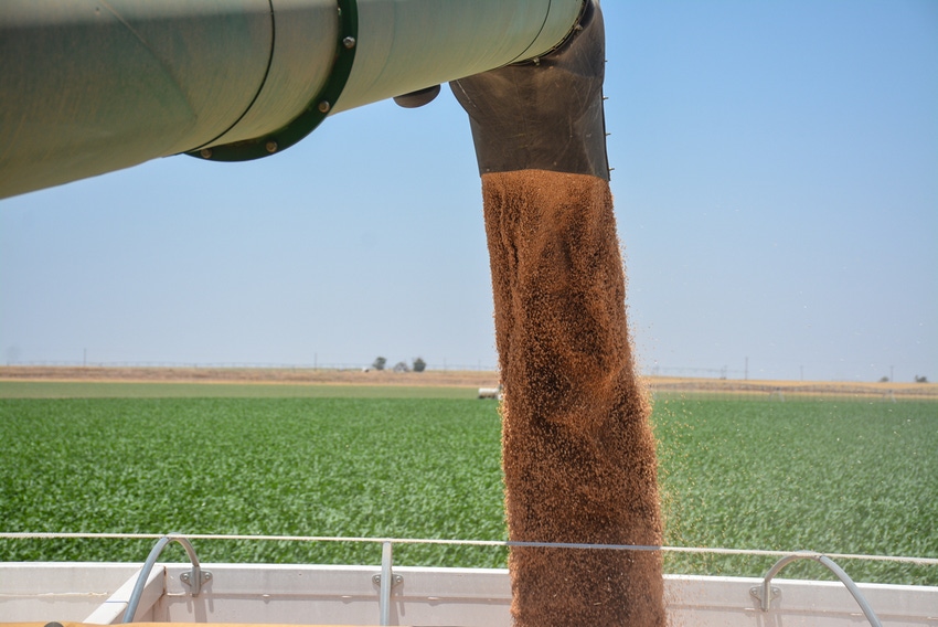 SWFP-HUGULEY-18-WHEAT-AUGER.jpg SWFP-HUGULEY-18-WHEAT-AUGER.jpg